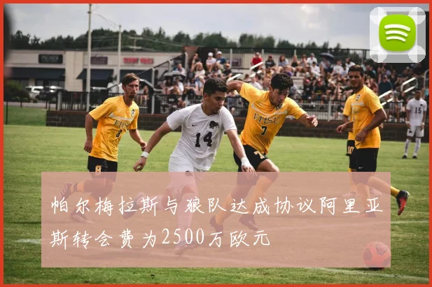 帕尔梅拉斯与狼队达成协议阿里亚斯转会费为2500万欧元