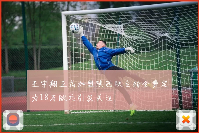 王宇翔正式加盟陕西联合转会费定为18万欧元引发关注